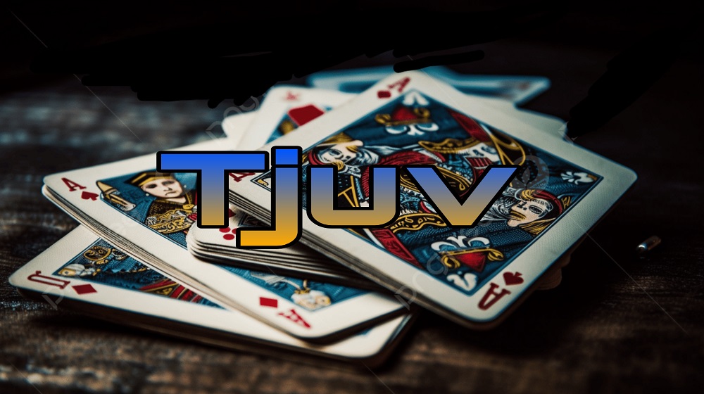 معرفی، آموزش و بررسی بازی کارتی ژوو (Tjuv)