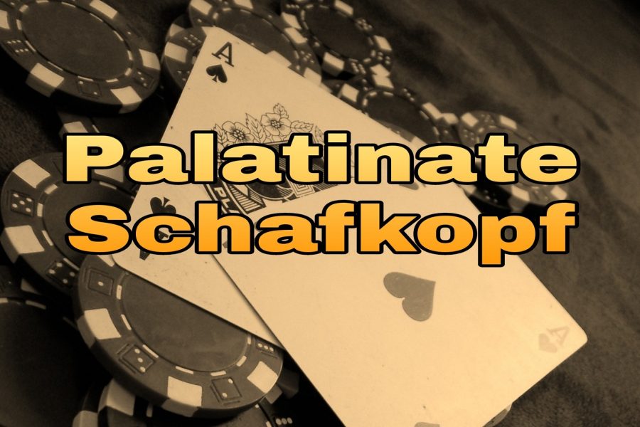 معرفی، آموزش و بررسی بازی کارتی پالاتینیت شافکوپف (Palatinate Schafkopf)
