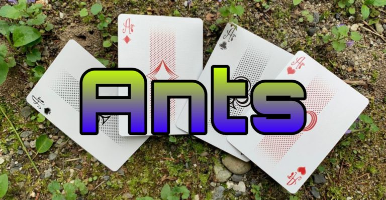 معرفی، آموزش و بررسی بازی کارتی انتس (Ants)
