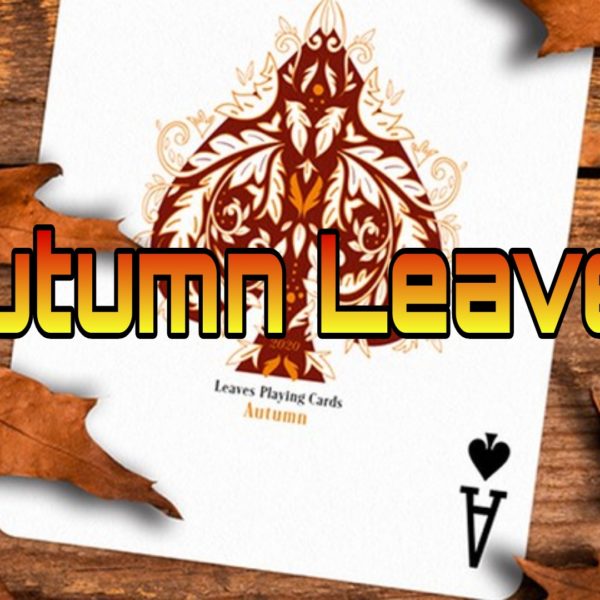 معرفی، آموزش و بررسی بازی کارتی آتم لیوز (Autumn Leaves)