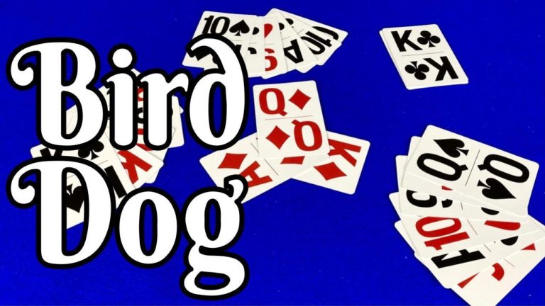 معرفی، آموزش و بررسی بازی کارتی برد داگ (Bird Dog)